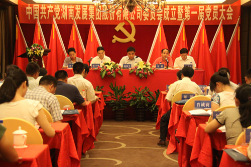 中共爱游戏手机登录入口-爱游戏（中国）集团股份有限公司委员会成立大会暨公司第一届党员代表大会胜利召开