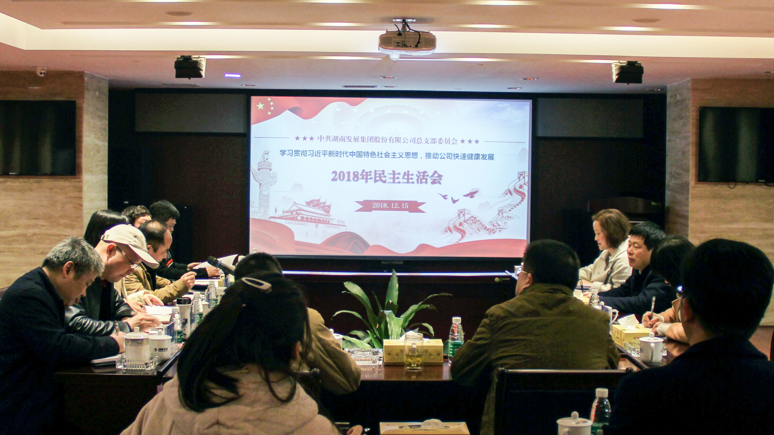 爱游戏手机登录入口-爱游戏（中国）党总支召开领导班子2018年度民主生活会