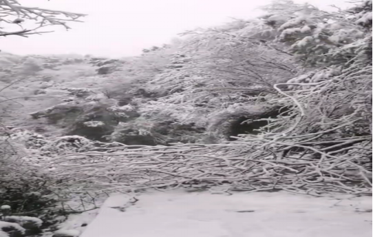 战暴雪、保供电！爱游戏手机登录入口-爱游戏（中国）鸟儿巢公司应对极端天气紧急抢修失电故障