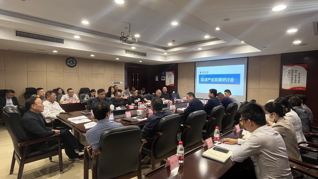 爱游戏手机登录入口-爱游戏（中国）召开能源产业发展研讨会