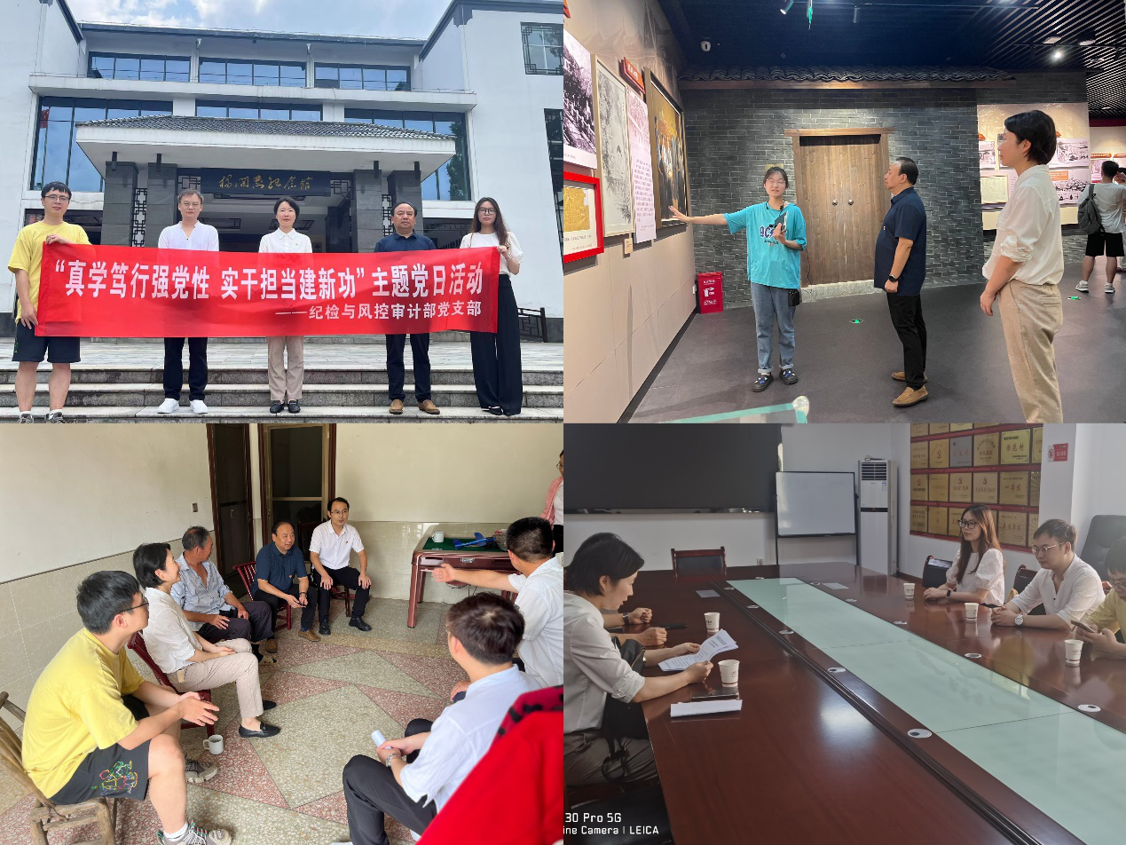 爱游戏手机登录入口-爱游戏（中国）纪检与风控审计部党支部开展“真学笃行强党性 实干担当建新功”主题党日活动